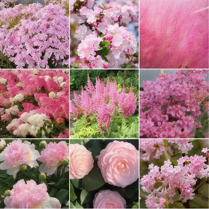 Pink mixed flower blind box ๐ฉท