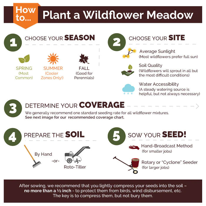 Exclusive Blue Wildflower Seed Mix