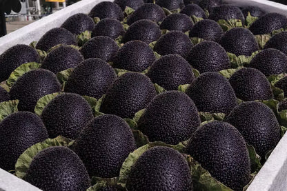 🥝Black Diamond Ruby Kiwi Seeds – Sweet, Nutrient-Rich & Easy to Grow at Home