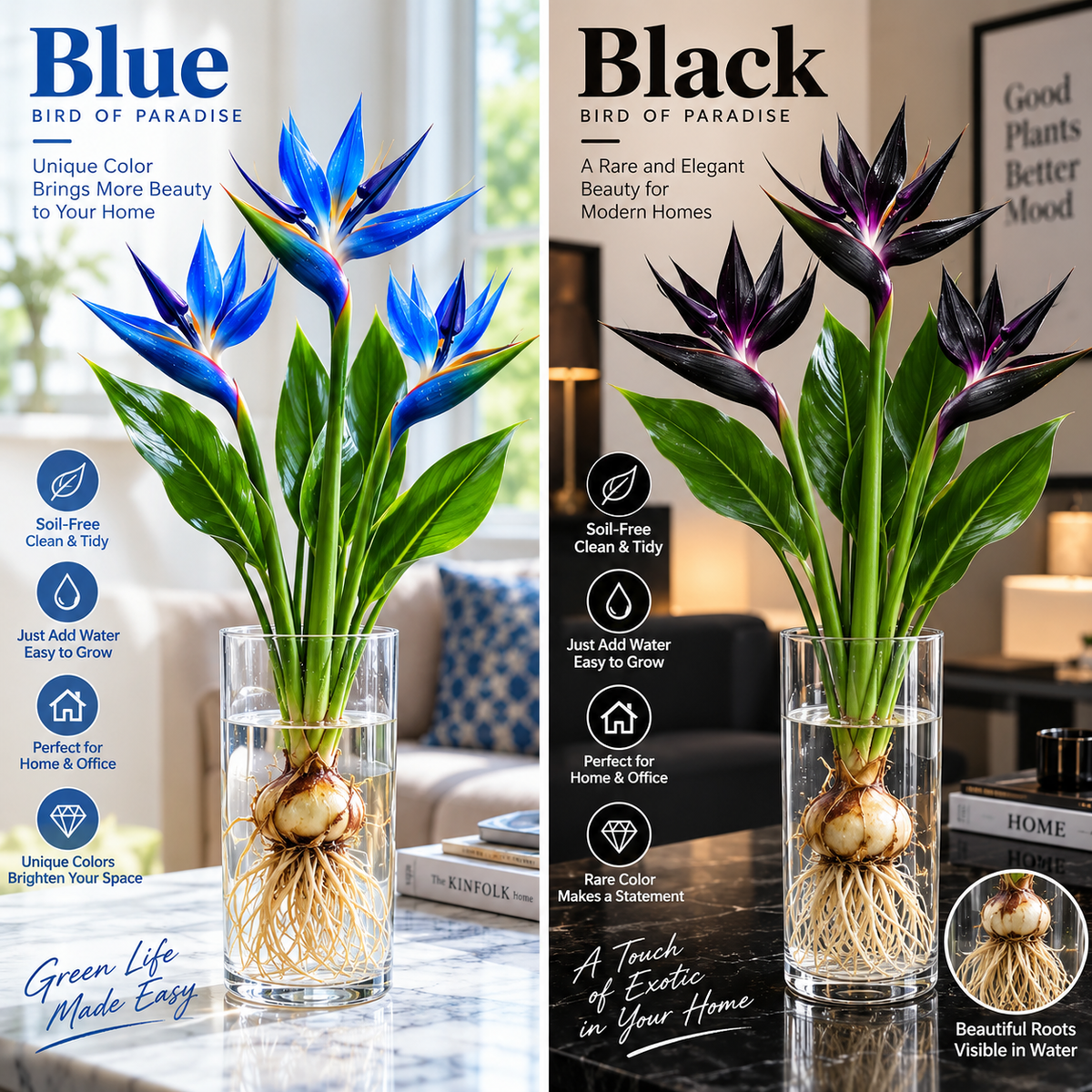 🕊️Hydroponic bird of paradise, from bulb to flowering, is incredibly therapeutic.