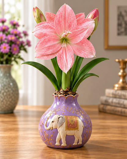 🌺 Rare Amaryllis Bulbs – Stunning Blooms, Easy to Grow, Beautiful to Watch