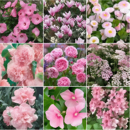 Pink mixed flower blind box 🩷