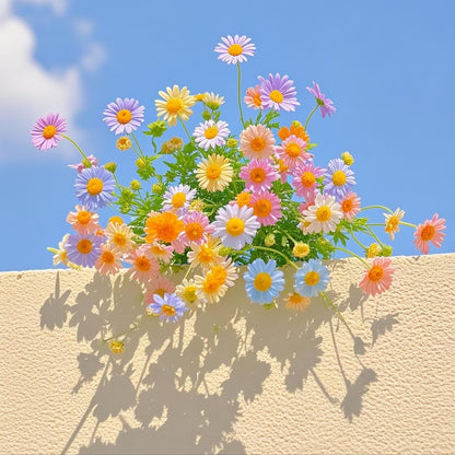 Pyrethrum Seeds – Grow Your Own Mosquito-Free Garden This Summer 🌿