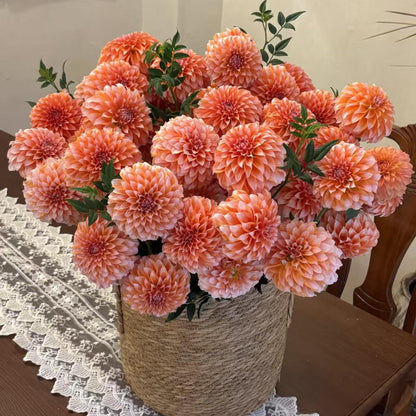 Bloom Dahlia Seeds – Transform Your Garden Into a Luxury Paradise 🌸