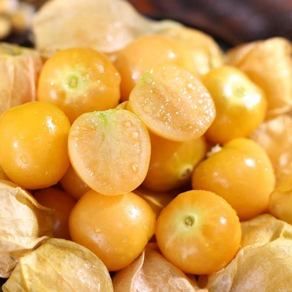 Physalis Peruviana Fruit - Lantern Fruit Seeds