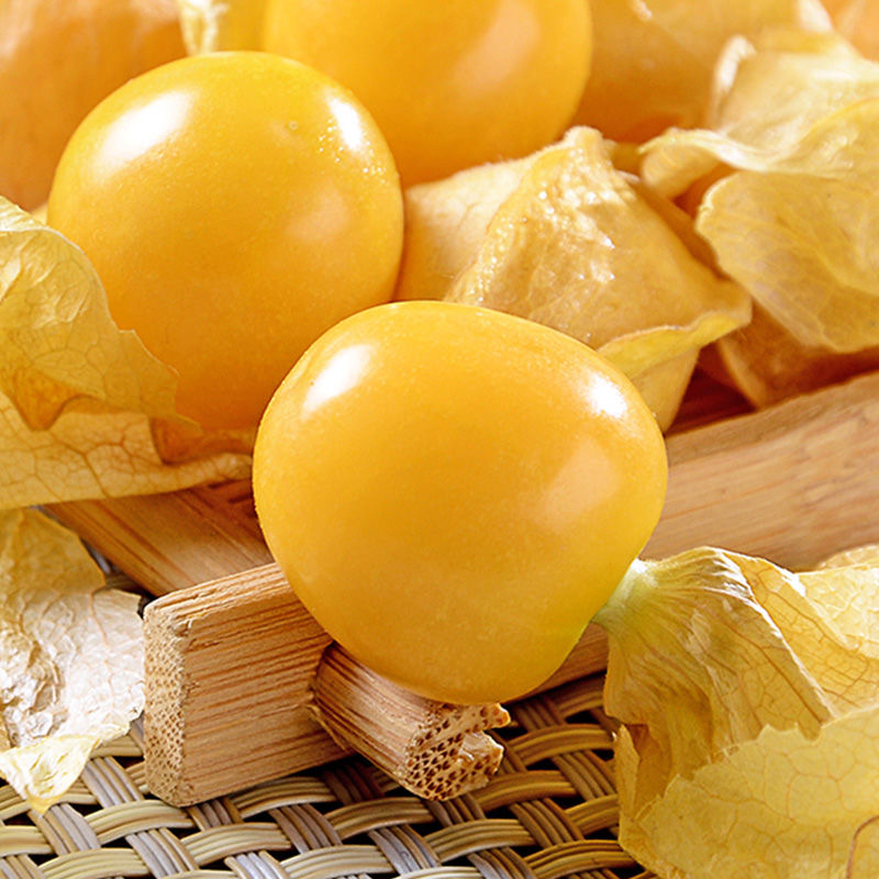 Physalis Peruviana Fruit - Lantern Fruit Seeds