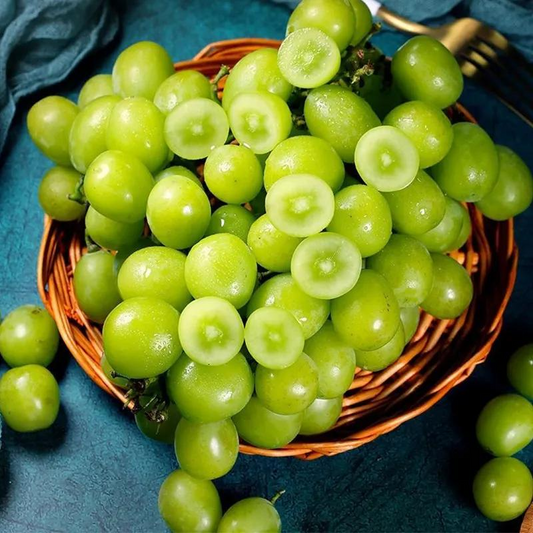 Shine Muscat Tree Seeds-Sunshine Rose Grape