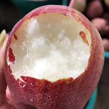 Sweet Rainbow Pear Seeds
