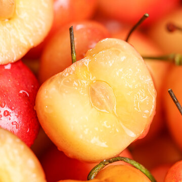 Rainier Cherry Fruit Seeds-Big Fruits, High Yield, Pure Sweetness