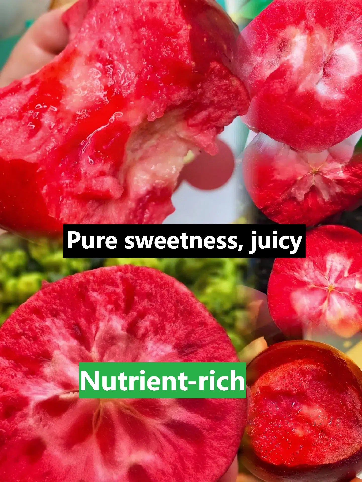 Redlove Red Flesh Apple Tree Seeds