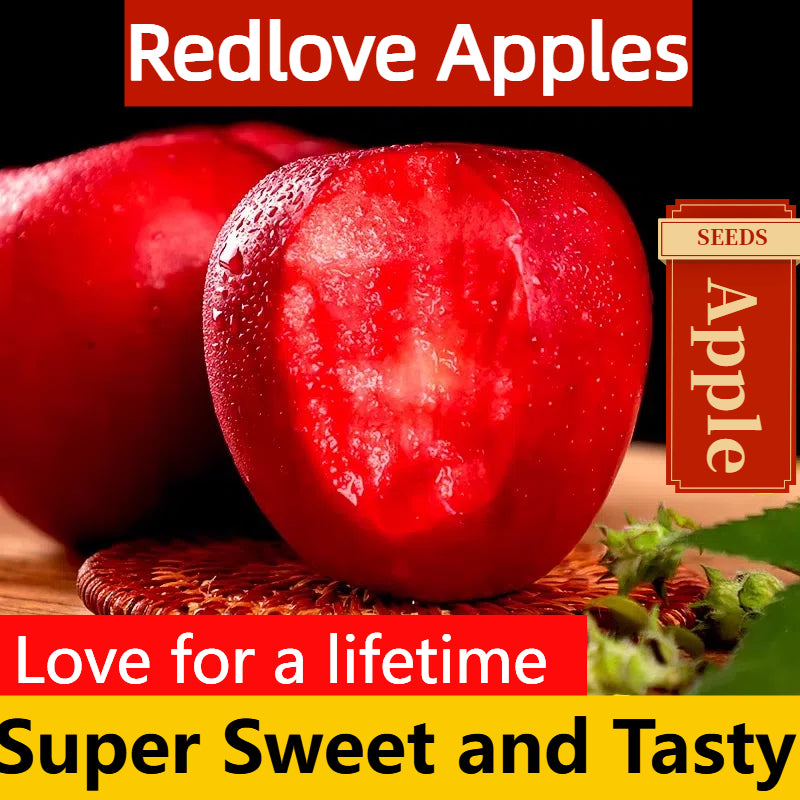 Redlove Red Flesh Apple Tree Seeds