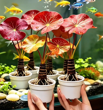 🐟Hydroponic red lotus roots☘️ Turn Your Aquarium into a Living Garden