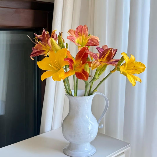 Large-Flowered Daylily Seeds-Big Bloom Garden Favorite