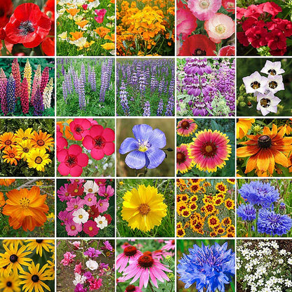 Four Seasons Blooming Mix Flower Seeds