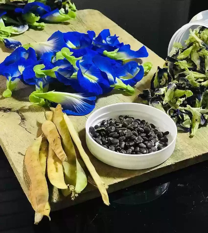 Butterfly Pea Seeds