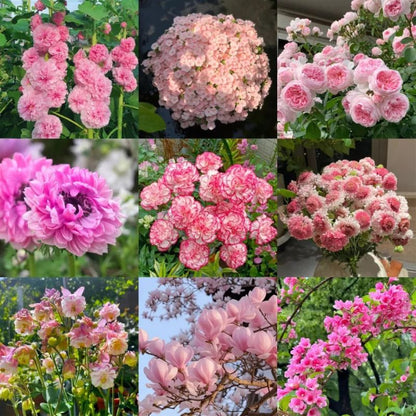 Pink mixed flower blind box 🩷
