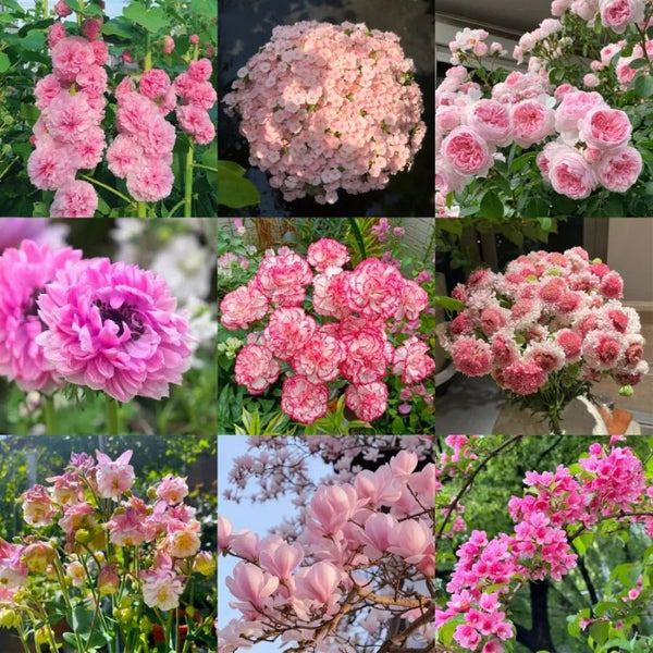 Pink mixed flower blind box 🩷