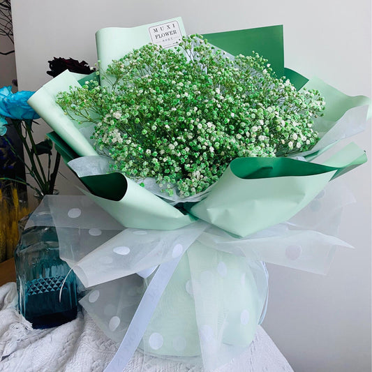 Grow a Starry Garden at Home – Premium Baby’s Breath Seeds