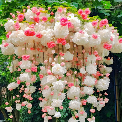 Weeping Begonia – A Cascading Floral Beauty 🌸✨