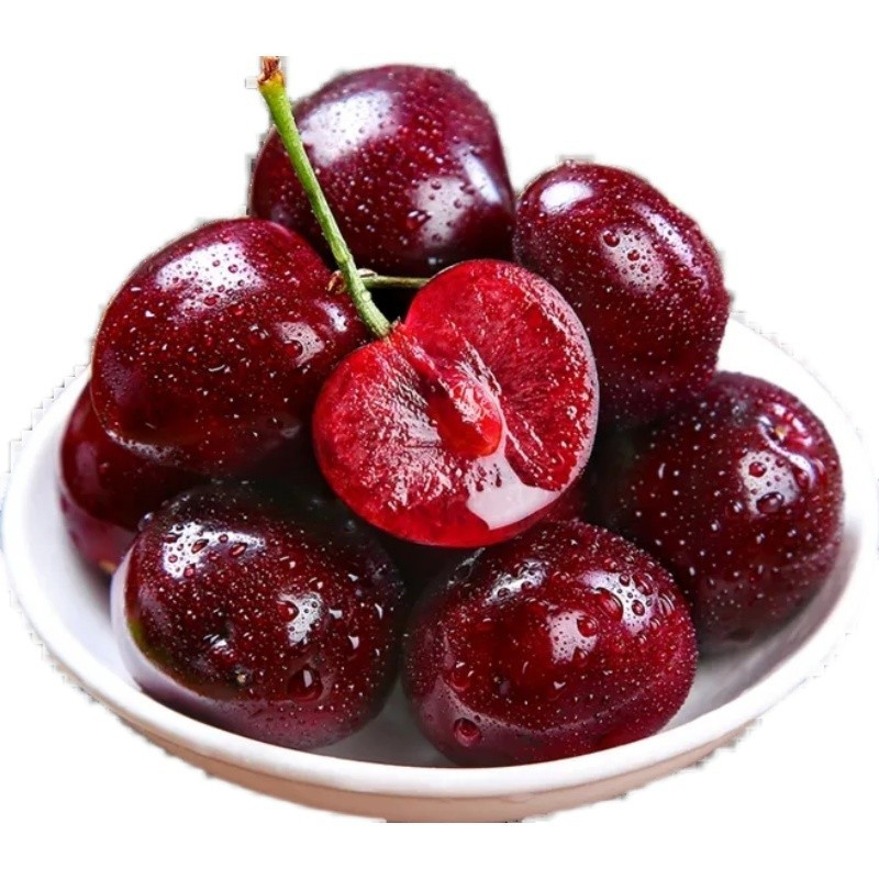 Rainier Cherry Fruit Seeds-Big Fruits, High Yield, Pure Sweetness