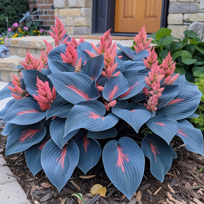 The Enchanting Hosta - Bright Blue