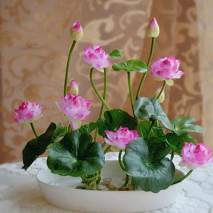 💖💖 The Premium Bonsai Lotus Flower Seeds - Non-GMO Heirloom Water Garden Plant