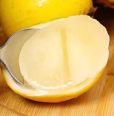 Golden Fruit Seeds - Abiu Fruit-Pouteria Caimito
