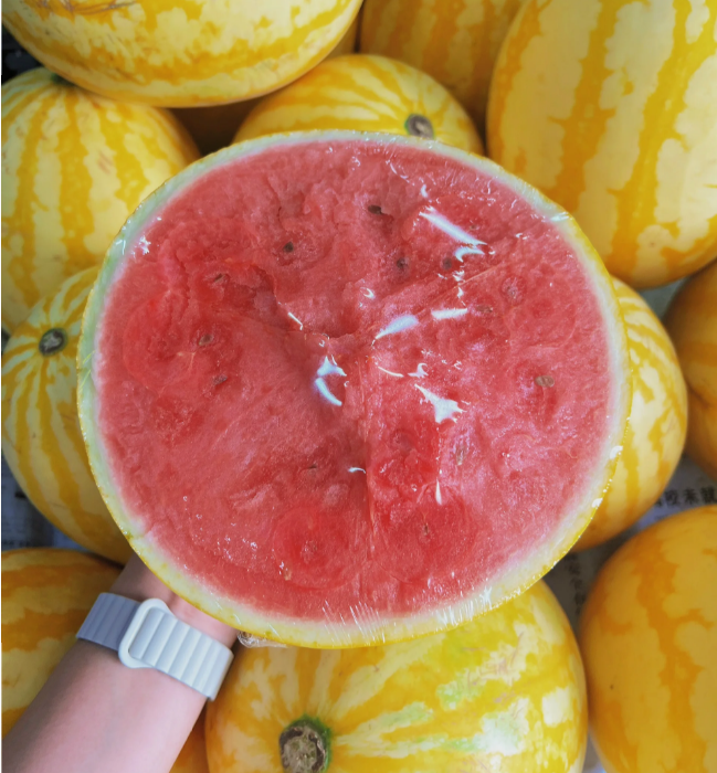 🍉 Grow Your Own Sweet Ruby Watermelons at Home
