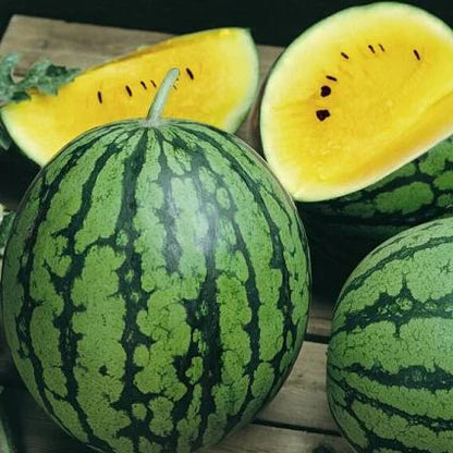 🍉 Grow Your Own Sweet Ruby Watermelons at Home