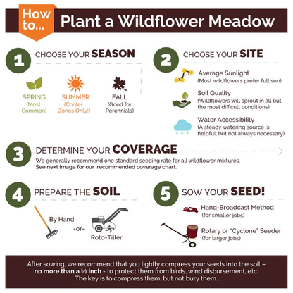 Exclusive Blue Wildflower Seed Mix