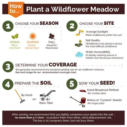 Premium Wild Flower Mix - Perennial