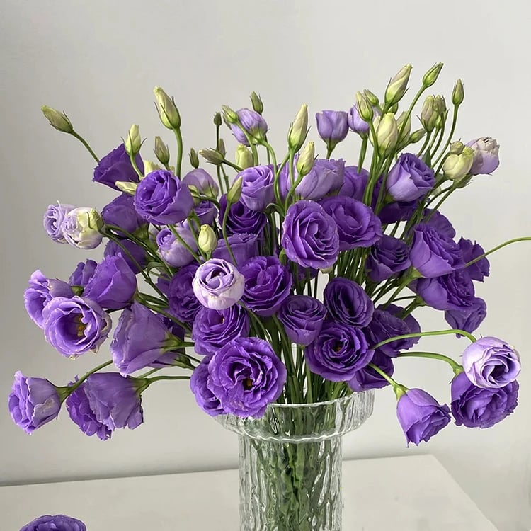 Eustoma Thornless Rose - Lisanthus Seeds