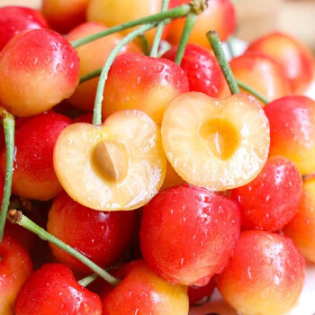 Rainier Cherry Fruit Seeds-Big Fruits, High Yield, Pure Sweetness