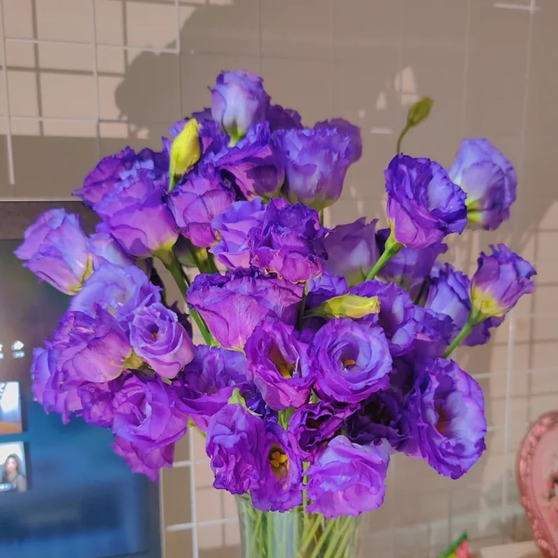 Eustoma Thornless Rose - Lisanthus Seeds