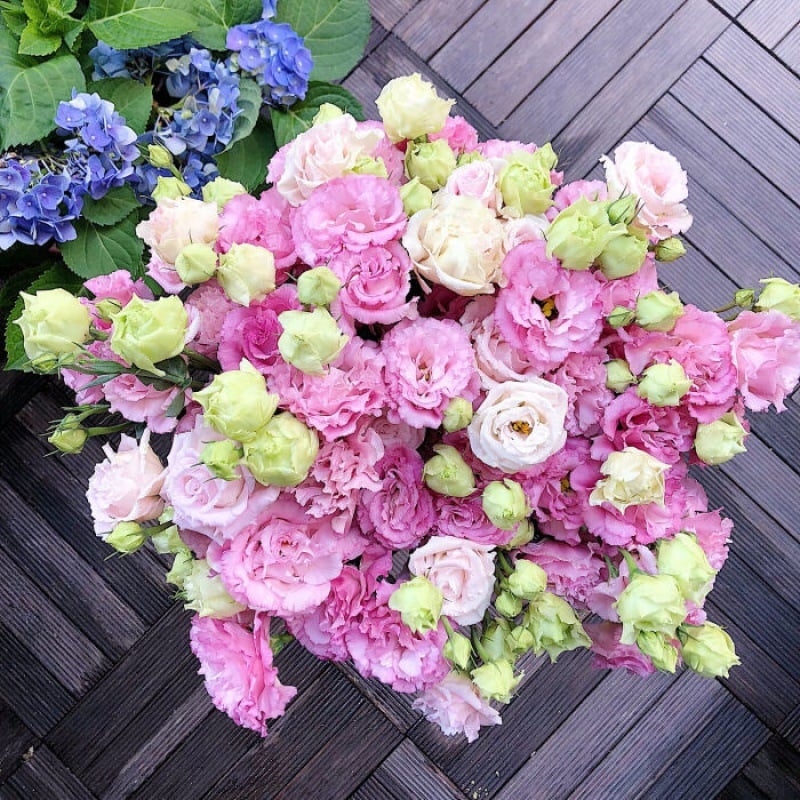 Eustoma Thornless Rose - Lisanthus Seeds