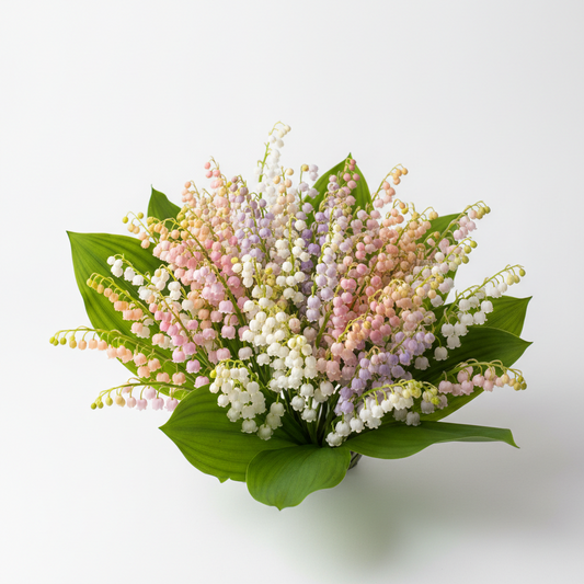 Lily of the Valley Brings Good Luck, Happiness & Purity 🌸