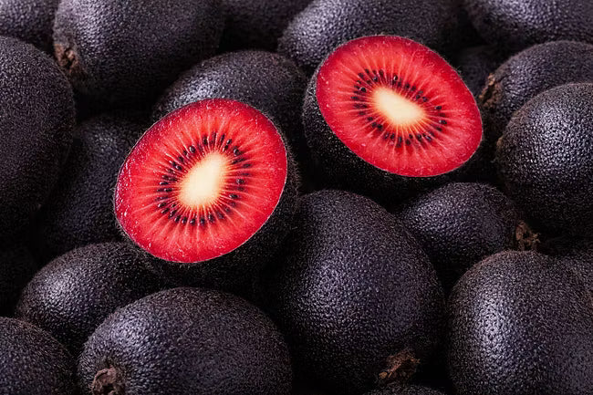 Black Diamond Ruby Kiwi fruit with vivid red center