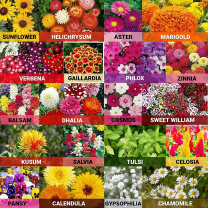 Premium Wild Flower Mix - Perennial