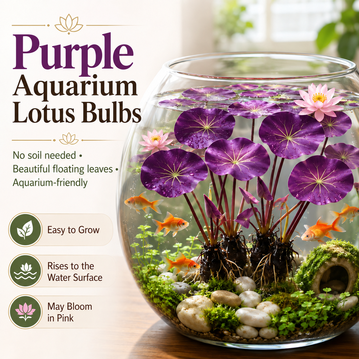 🐟Hydroponic red lotus roots☘️ Turn Your Aquarium into a Living Garden