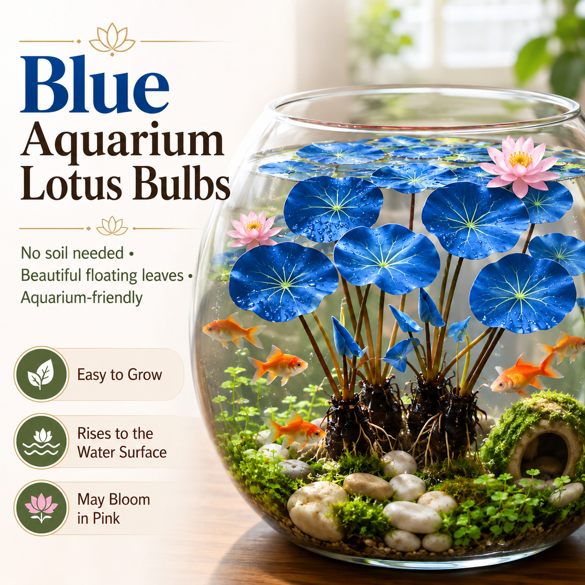 🐟Hydroponic red lotus roots☘️ Turn Your Aquarium into a Living Garden