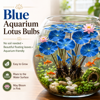 🐟Hydroponic red lotus roots☘️ Turn Your Aquarium into a Living Garden