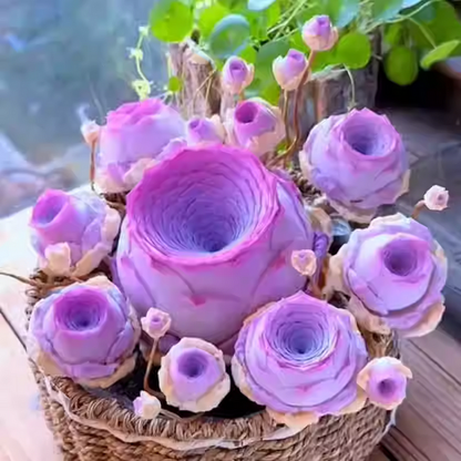 Rare Living Rock Rose Seeds – Grow Stunning “Mountain Rose”