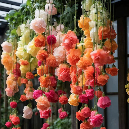 Weeping Begonia – A Cascading Floral Beauty 🌸✨
