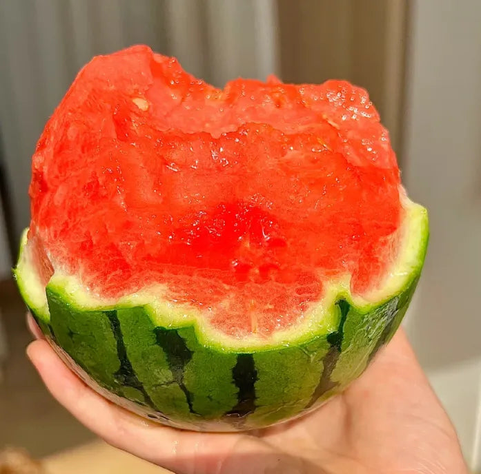 🍉 Grow Your Own Sweet Ruby Watermelons at Home