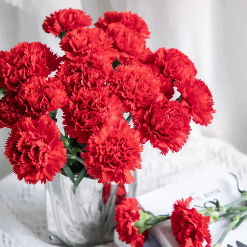 Double Carnation Seeds🌺
