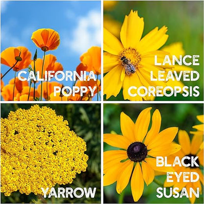 All Perennial Flower Seeds Mix