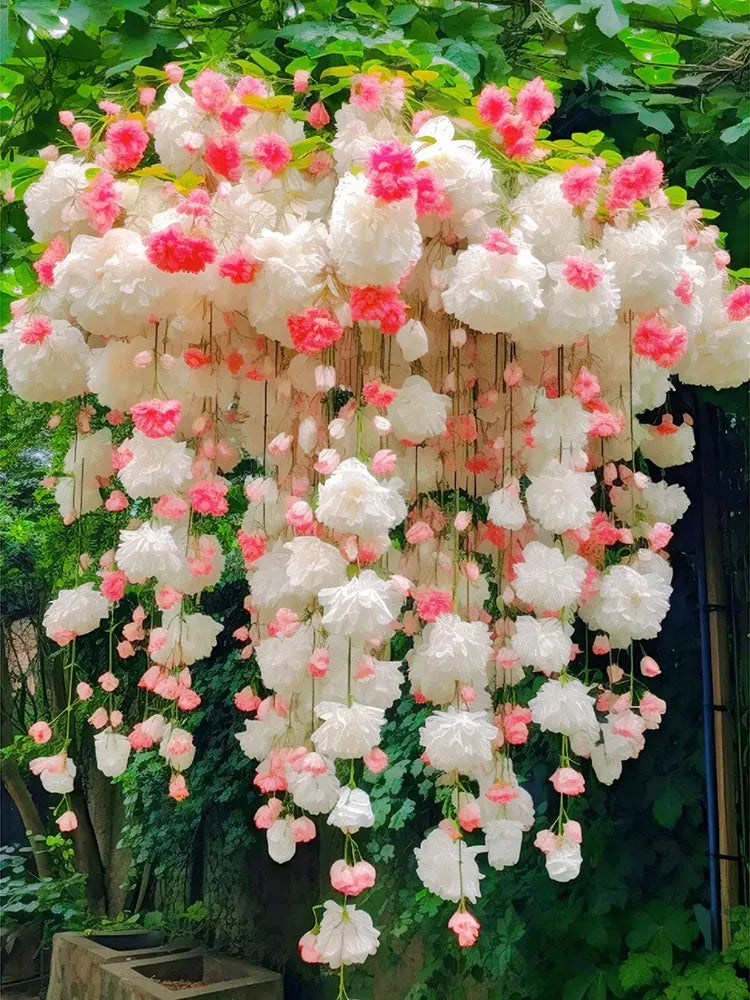 Weeping Begonia Seeds - Malus Halliana