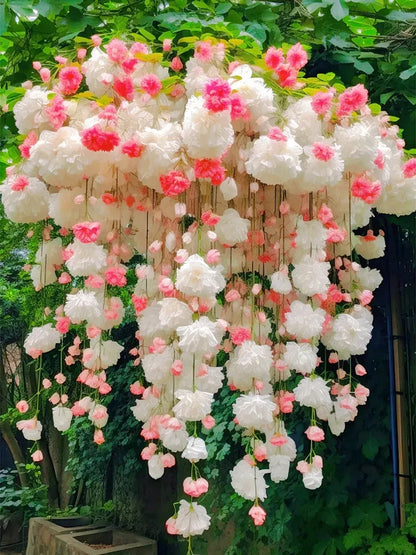 Weeping Begonia Seeds - Malus Halliana