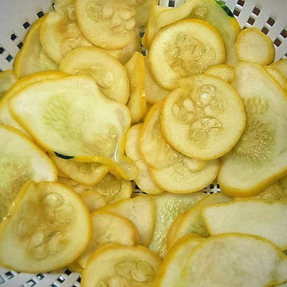 30pcs Early Prolific Straightneck Summer Squash Heirloom Seeds