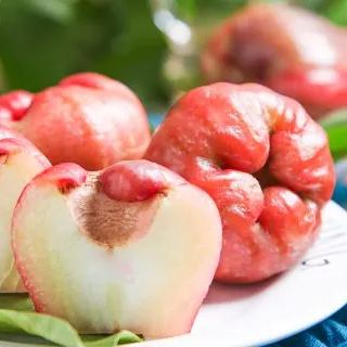Wax-apple Fruit Seeds 100% Germination Rate